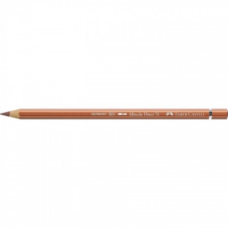 Albrecht Dürer Watercolour pencil copper